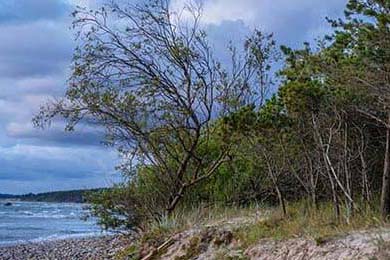 凯尔特人逆转爵士取胜，坎特救命终场扳平，凯尔特人pritchard