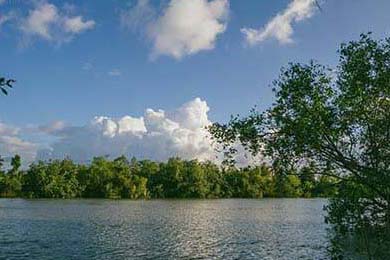 库里：空投的“魔术师”，破解NBA防守密码！，里程碑!库里总得分超魔术师 仓促出手投丢