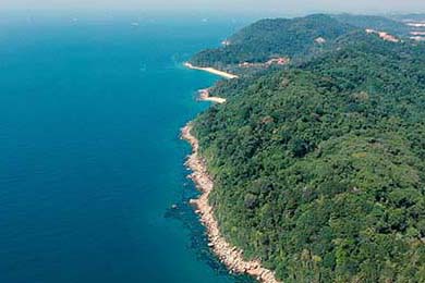 库里：空投的“魔术师”，破解NBA防守密码！，里程碑!库里总得分超魔术师 仓促出手投丢