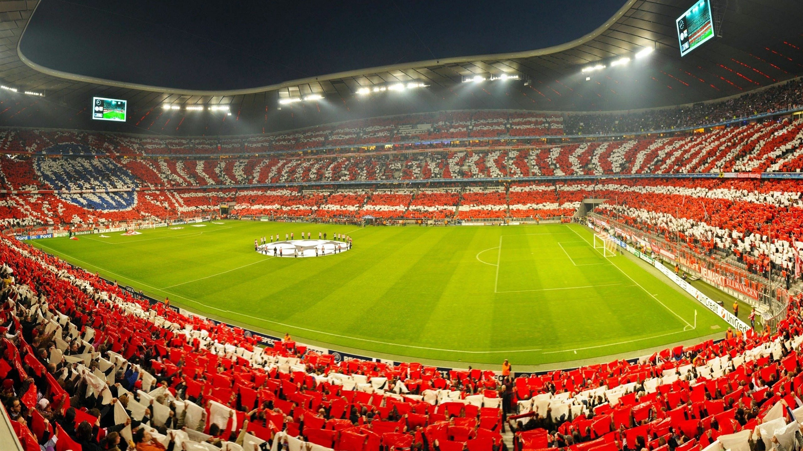 好戏连台：澳大利亚女足队傲视群雄，澳大利亚女足国家队